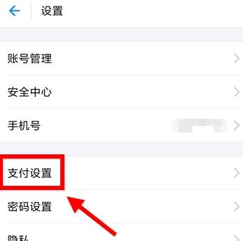 支付设置