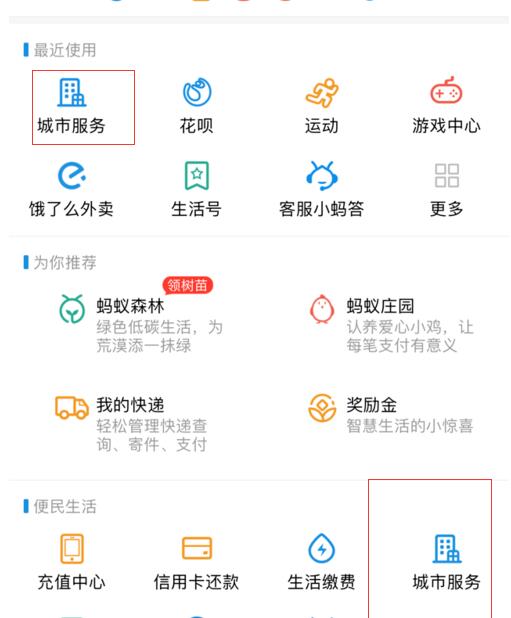 怎么在支付宝交罚款