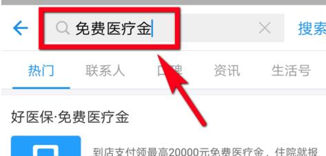 支付宝医疗金