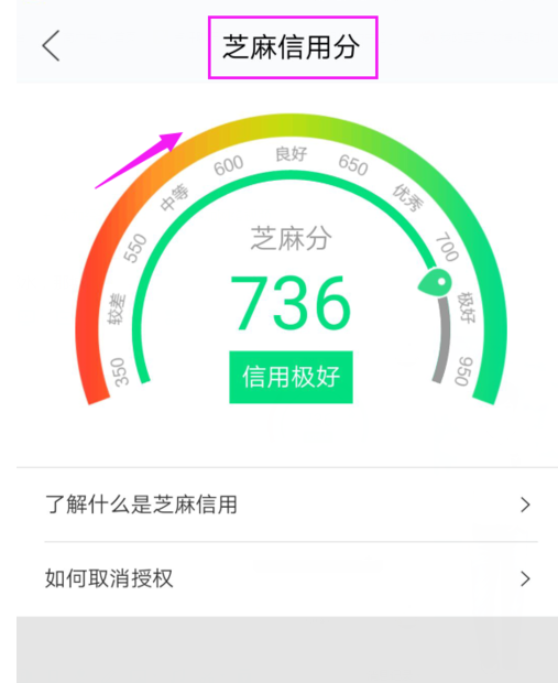 闲鱼芝麻信用没实名认证7.png