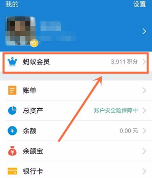 支付宝签到领积分有什么用