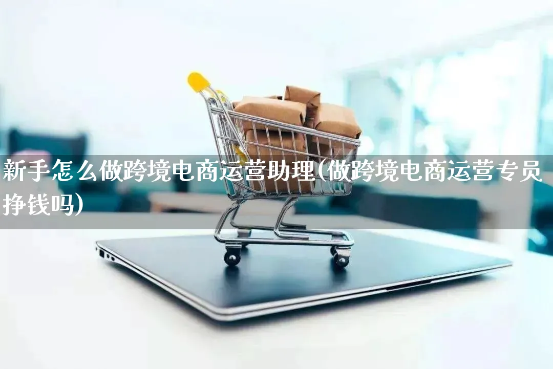 新手怎么做跨境电商运营助理(做跨境电商运营专员挣钱吗)_https://www.qujiang-marathon.com_营销策划_第1张