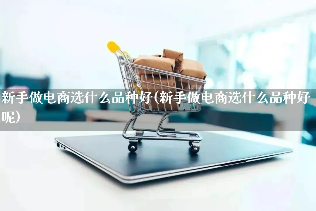 新手做电商选什么品种好(新手做电商选什么品种好呢)_https://www.qujiang-marathon.com_营销策划_第1张