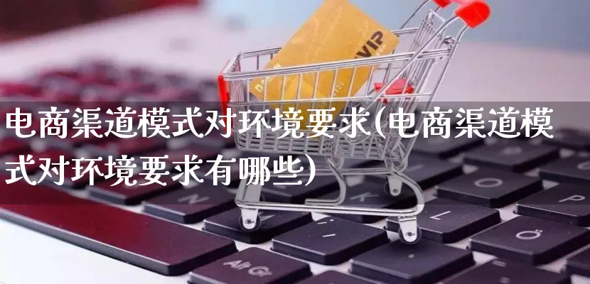 电商渠道模式对环境要求(电商渠道模式对环境要求有哪些)_https://www.qujiang-marathon.com_运营技巧_第1张