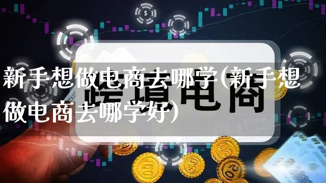 新手想做电商去哪学(新手想做电商去哪学好)_https://www.qujiang-marathon.com_营销策划_第1张