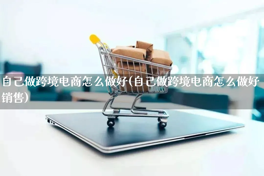 自己做跨境电商怎么做好(自己做跨境电商怎么做好销售)_https://www.qujiang-marathon.com_电商资讯_第1张