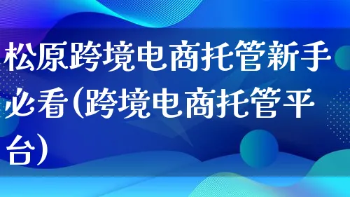 松原跨境电商托管新手必看(跨境电商托管平台)_https://www.qujiang-marathon.com_营销策划_第1张