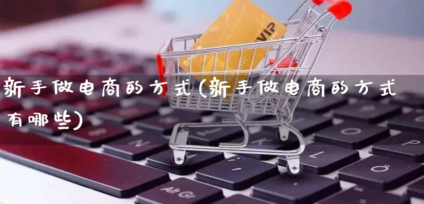 新手做电商的方式(新手做电商的方式有哪些)_https://www.qujiang-marathon.com_市场推广_第1张