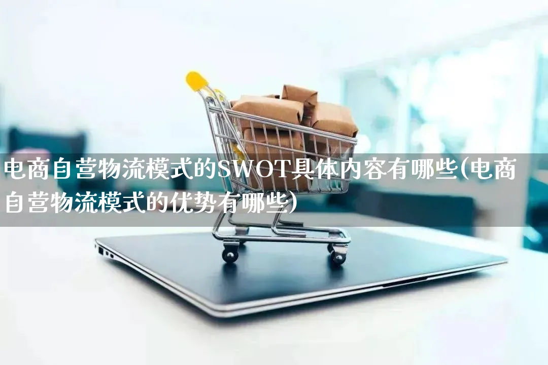 电商自营物流模式的SWOT具体内容有哪些(电商自营物流模式的优势有哪些)_https://www.qujiang-marathon.com_物流_第1张