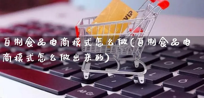 自制食品电商模式怎么做(自制食品电商模式怎么做出来的)_https://www.qujiang-marathon.com_市场推广_第1张