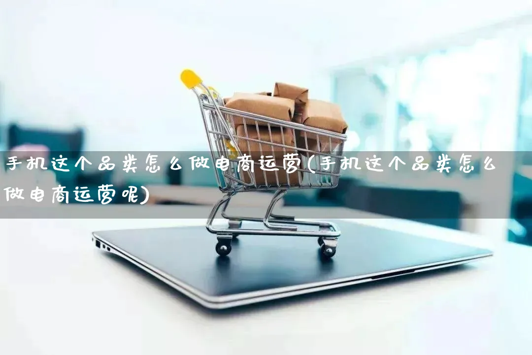 手机这个品类怎么做电商运营(手机这个品类怎么做电商运营呢)_https://www.qujiang-marathon.com_电商资讯_第1张