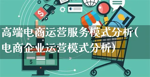 高端电商运营服务模式分析(电商企业运营模式分析)_https://www.czttao.com_电商运营_第1张