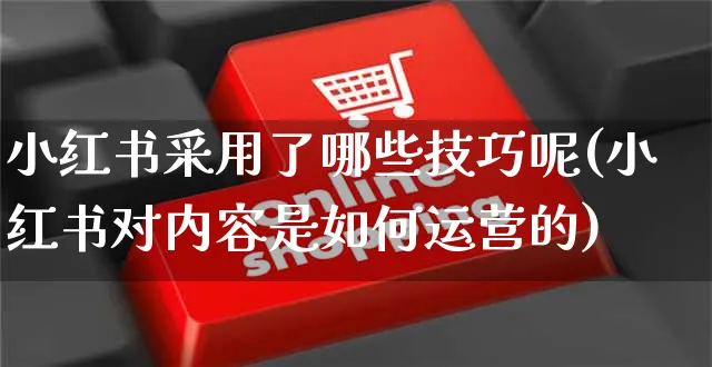 小红书采用了哪些技巧呢(小红书对内容是如何运营的)_https://www.czttao.com_小红书_第1张