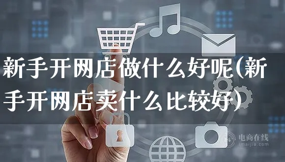 新手开网店做什么好呢(新手开网店卖什么比较好)_https://www.czttao.com_开店技巧_第1张