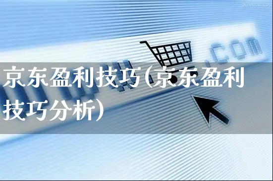 京东盈利技巧(京东盈利技巧分析)_https://www.czttao.com_京东电商_第1张