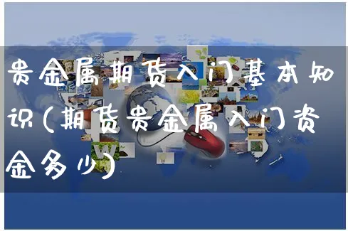 贵金属期货入门基本知识(期货贵金属入门资金多少)_https://www.czttao.com_闲鱼电商_第1张