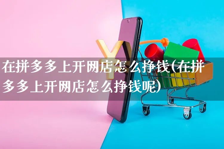 在拼多多上开网店怎么挣钱(在拼多多上开网店怎么挣钱呢)_https://www.czttao.com_店铺装修_第1张