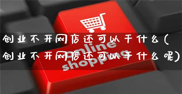 创业不开网店还可以干什么(创业不开网店还可以干什么呢)_https://www.czttao.com_店铺装修_第1张