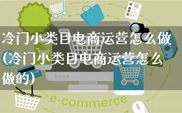 冷门小类目电商运营怎么做(冷门小类目电商运营怎么做的)_https://www.czttao.com_电商运营_第1张