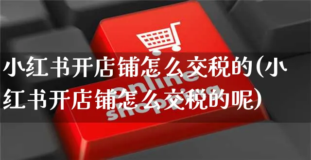 小红书开店铺怎么交税的(小红书开店铺怎么交税的呢)_https://www.czttao.com_小红书_第1张