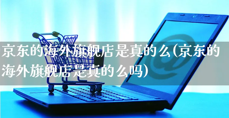 京东的海外旗舰店是真的么(京东的海外旗舰店是真的么吗)_https://www.czttao.com_亚马逊电商_第1张