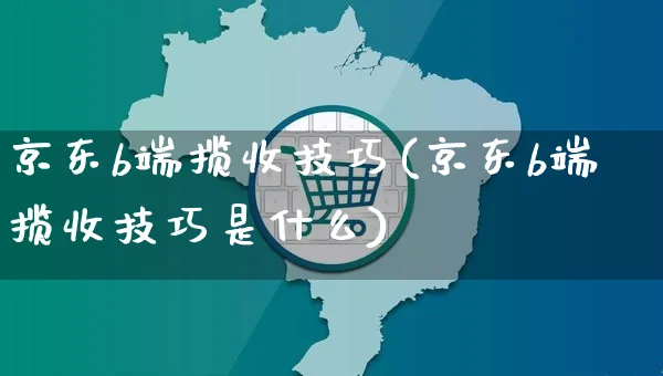 京东b端揽收技巧(京东b端揽收技巧是什么)_https://www.czttao.com_京东电商_第1张