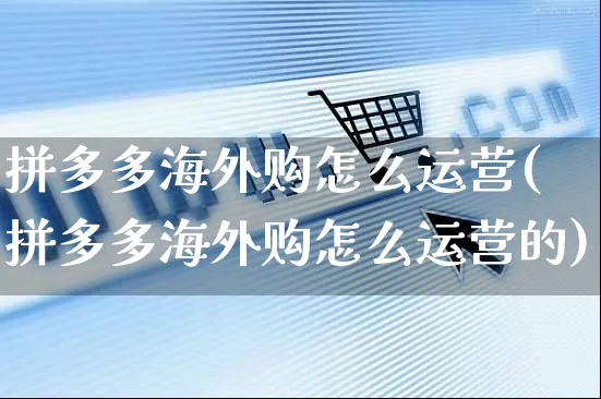 拼多多海外购怎么运营(拼多多海外购怎么运营的)_https://www.czttao.com_亚马逊电商_第1张