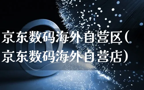 京东数码海外自营区(京东数码海外自营店)_https://www.czttao.com_亚马逊电商_第1张