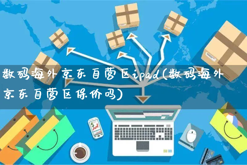 数码海外京东自营区ipad(数码海外京东自营区保价吗)_https://www.czttao.com_亚马逊电商_第1张