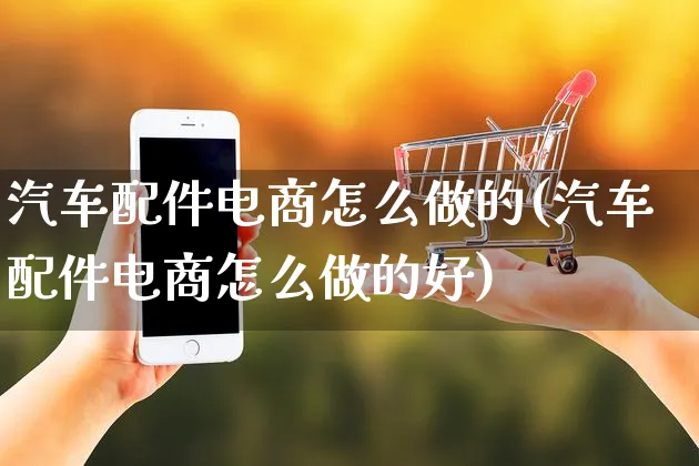 汽车配件电商怎么做的(汽车配件电商怎么做的好)_https://www.czttao.com_电商运营_第1张