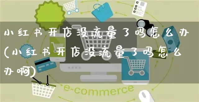 小红书开店没流量了吗怎么办(小红书开店没流量了吗怎么办啊)_https://www.czttao.com_小红书_第1张