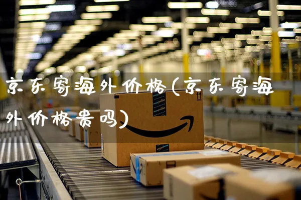 京东寄海外价格(京东寄海外价格贵吗)_https://www.czttao.com_亚马逊电商_第1张