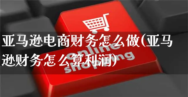 亚马逊电商财务怎么做(亚马逊财务怎么算利润)_https://www.czttao.com_亚马逊电商_第1张