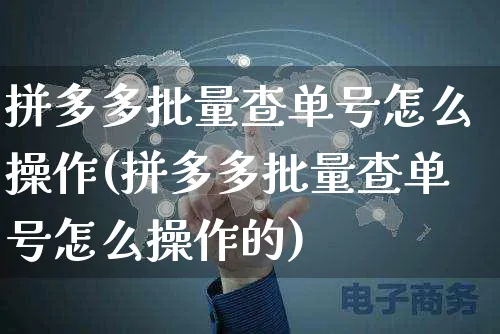 拼多多批量查单号怎么操作(拼多多批量查单号怎么操作的)_https://www.czttao.com_拼多多电商_第1张