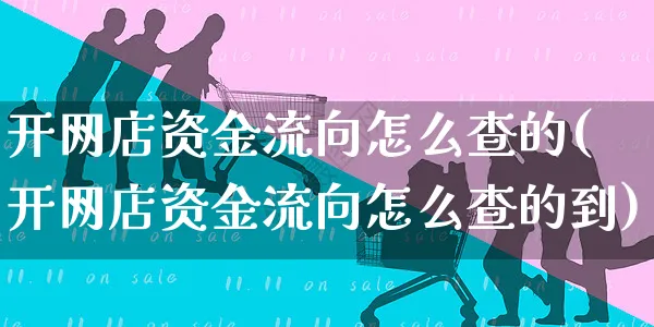 开网店资金流向怎么查的(开网店资金流向怎么查的到)_https://www.czttao.com_开店技巧_第1张