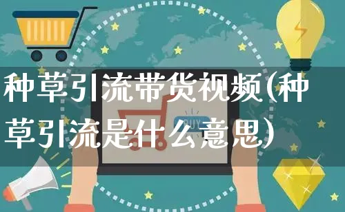 种草引流带货视频(种草引流是什么意思)_https://www.czttao.com_视频/直播带货_第1张