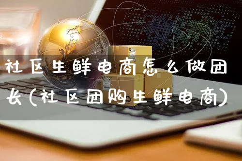 社区生鲜电商怎么做团长(社区团购生鲜电商)_https://www.czttao.com_电商运营_第1张