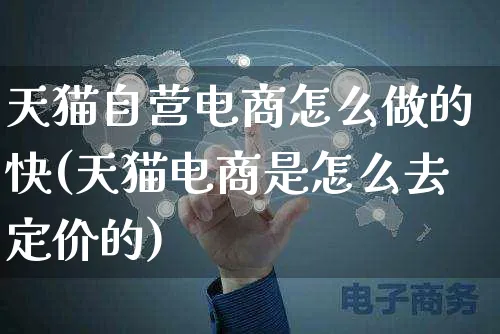 天猫自营电商怎么做的快(天猫电商是怎么去定价的)_https://www.czttao.com_电商问答_第1张