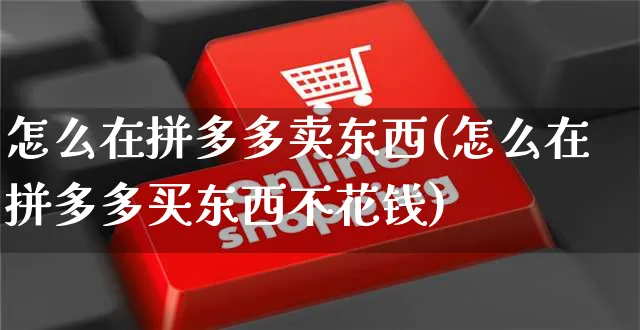 怎么在拼多多卖东西(怎么在拼多多买东西不花钱)_https://www.czttao.com_京东电商_第1张