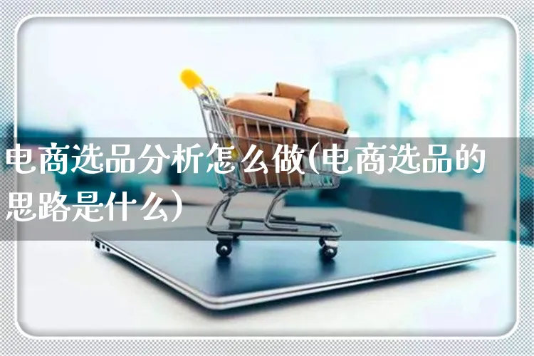 电商选品分析怎么做(电商选品的思路是什么)_https://www.czttao.com_拼多多电商_第1张