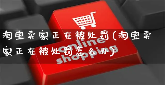 淘宝卖家正在被处罚(淘宝卖家正在被处罚怎么办)_https://www.czttao.com_店铺装修_第1张