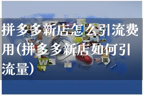 拼多多新店怎么引流费用(拼多多新店如何引流量)_https://www.czttao.com_拼多多电商_第1张