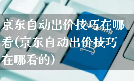 京东自动出价技巧在哪看(京东自动出价技巧在哪看的)_https://www.czttao.com_京东电商_第1张