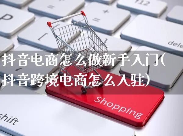 抖音电商怎么做新手入门(抖音跨境电商怎么入驻)_https://www.czttao.com_拼多多电商_第1张