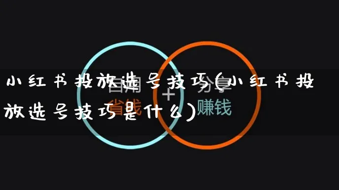 小红书投放选号技巧(小红书投放选号技巧是什么)_https://www.czttao.com_小红书_第1张