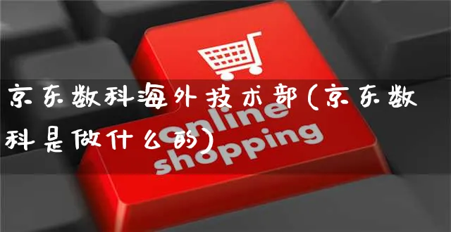 京东数科海外技术部(京东数科是做什么的)_https://www.czttao.com_亚马逊电商_第1张