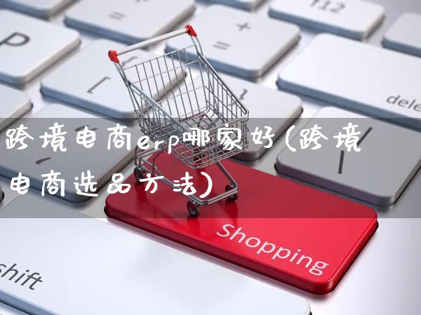 跨境电商erp哪家好(跨境电商选品方法)_https://www.czttao.com_店铺装修_第1张