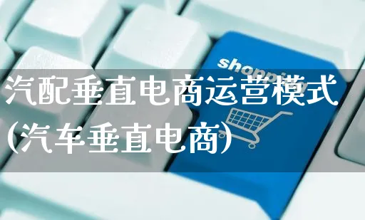 汽配垂直电商运营模式(汽车垂直电商)_https://www.czttao.com_闲鱼电商_第1张