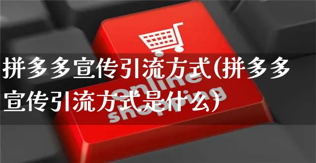 拼多多宣传引流方式(拼多多宣传引流方式是什么)_https://www.czttao.com_拼多多电商_第1张