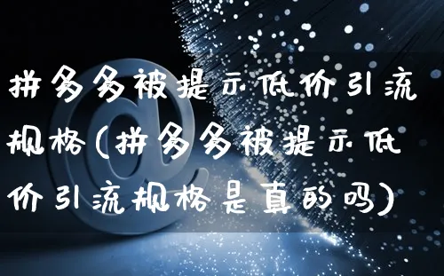 拼多多被提示低价引流规格(拼多多被提示低价引流规格是真的吗)_https://www.czttao.com_拼多多电商_第1张